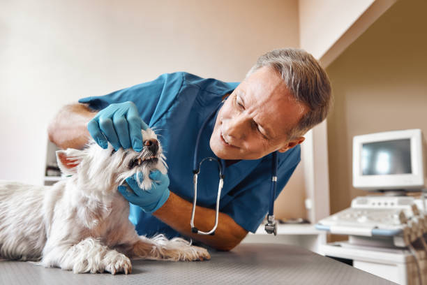 Best Pediatric Emergency Dentist in Kinsley, KS